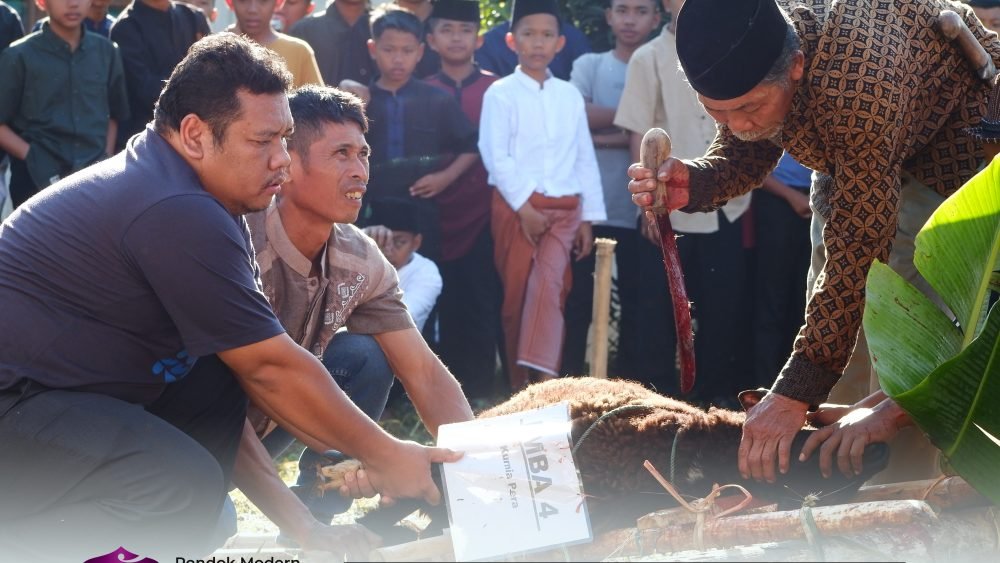 DAFA PEDULI Salurkan Hewan Qurban