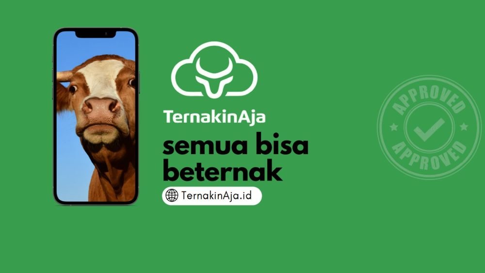 Yakaafi Dan Ternakinaja Bersinergi Wujudkan Wakaf Produktif Bagi Pesantren