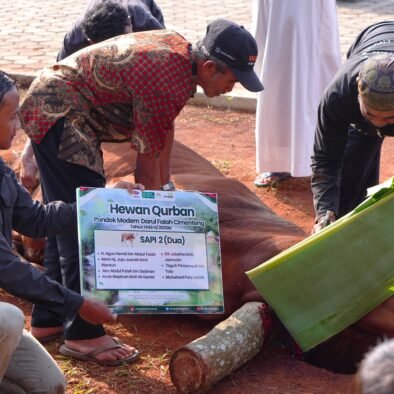 DALAM RANGKA PERAYAAN IDUL ADHA DARUL FALAH SEMBELIH 4 EKOR SAPI DAN 3 EKOR KAMBING