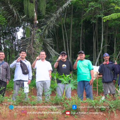 Pengembangan Dafa Dream Land: Penyempurnaan Site Plan dan Infrastruktur Pendukung