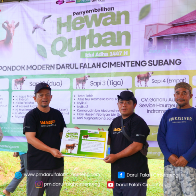 Tebar Berkah Idul Adha 1447 H, Darul Falah Cimenteng Tunaikan Amanah Qurban 4 Sapi dan 2 Kambing Melalui DAFA Peduli